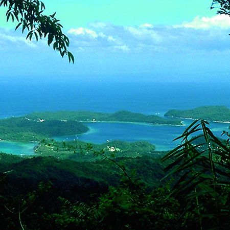 Bamboo Beach Resort ปูแอร์โตกาเลรา ภายนอก รูปภาพ