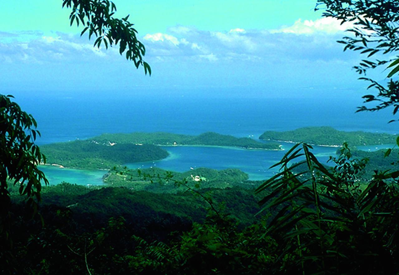 Bamboo Beach Resort ปูแอร์โตกาเลรา ภายนอก รูปภาพ